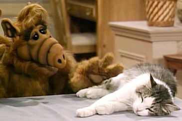 In this file photo, ALF attempts to liberate a house cat from the prison of suburbia.
